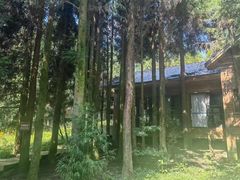 -武陵山森林公园