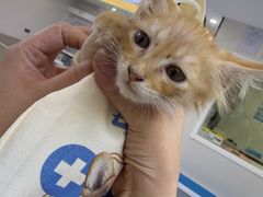 -达爱动物医院·犬猫分区·CT·复杂眼科(远洋山水分院)
