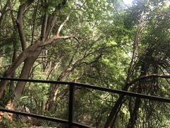 -城隍阁