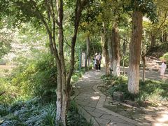 -杭州半山国家森林公园