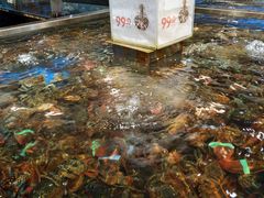 -盒马鲜生(首义店)