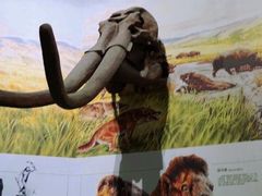 -中国西峡恐龙遗迹园