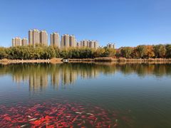 -燕郊植物园