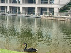 -厦门国家会计学院