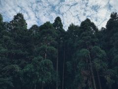 -黄檀硐景区