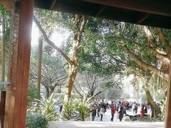 -金山公园