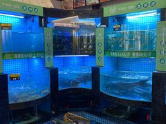 -千岛湖小鱼儿·淳安匠心农家菜