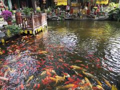 -白家大院·王府宫廷菜(苏州街店)