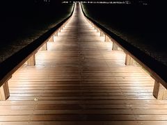 -汉长安城未央宫国家考古遗址公园