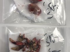 -美联众合动物医院·24h转诊中心