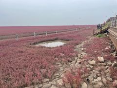 -红海滩国家风景廊道