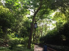 -铁路文化公园