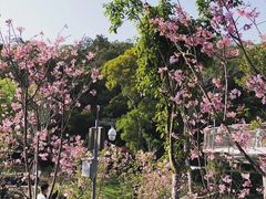 -狐尾山公园