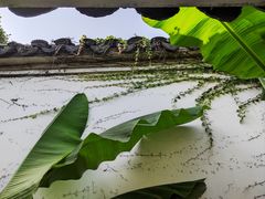 -吴作人艺术馆