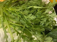 涮菜-蝎王府羊蝎子(西直门店)
