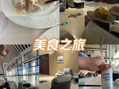 -青岛胶东国际机场