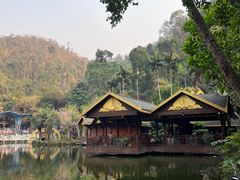 -西双版纳原始森林公园