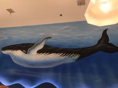 -蓝鲸(国浩路店)