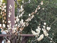 -成都杜甫草堂博物馆
