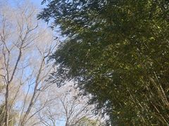 -兰陵国家农业公园