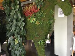 -南京夫子庙国际青年旅舍(平江府路店)