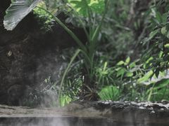 -昆明柏联SPA温泉