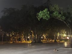 -荔湾湖公园