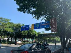 -火炉山森林公园