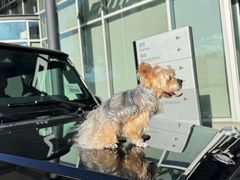 -上海星瀚奔驰4S店(红柳路店)