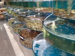 水产区-蓝珊甄选海鲜自助·火锅大排档(近阿那亚店)