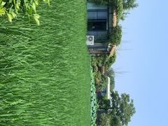 -洪湖家庭农场·团建·露营·会议