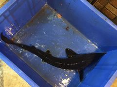 -荣德灶台鱼(圣泉寺店)