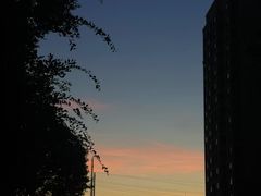 -太平馆餐厅(油麻地店)