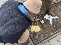 -绿茶餐厅(雁塔大悦城店)
