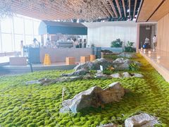 -Seesaw Coffee(朝阳大悦城店)