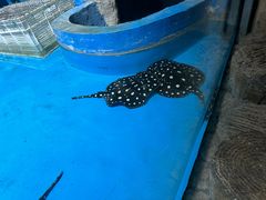 -泉城欧乐堡海洋极地世界