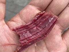 -马志善稀糊爛生熟肉店