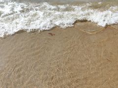 -北戴河东海水浴场
