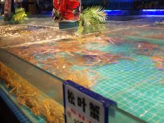 -驻海渔市(置信店)