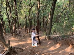 -灵岩山风景区
