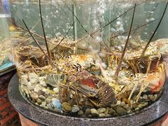 -九號渔港·蒸汽海鲜·粤菜茶点(八卦岭店)