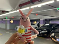 -上海浦东国际机场T1航站楼-P1停车场