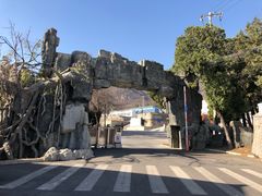 -阳台山自然风景区