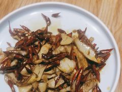 -滇铺子·云南特色菜·第九届野生菌美食节(东风东路c86店)