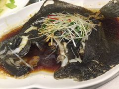 清蒸多宝鱼-金泽广进饭店