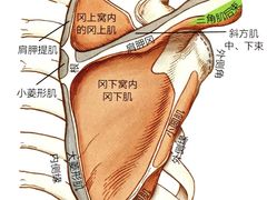 -锐动健身游泳(博地中心店)