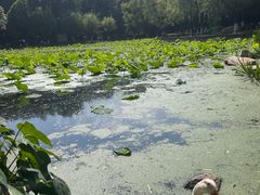 -月牙潭公园