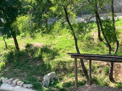 -石家庄市动物园