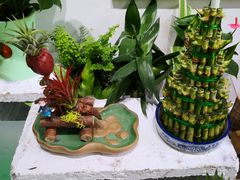 -杭州植物园