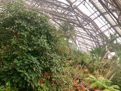 -南山植物园